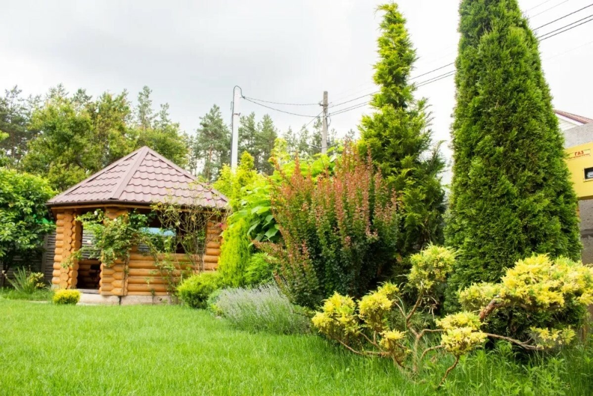 https://himki.tgv-stroy.ru/storage/app/uploads/public/637/ef4/fb3/637ef4fb3605f391429275.png